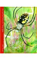 Animal Diaries: Spider