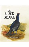 The Black Grouse