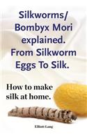 Silkworms Bombyx Mori explained. From Silkworm Eggs To Silk. How to make silk at home.