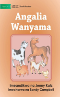 Look at the Animals - Angalia Wanyama