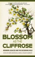 Blossom as the Cliffrose