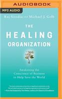 The Healing Organization