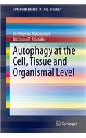 Autophagy at the Cell, Tissue and Organismal Level
