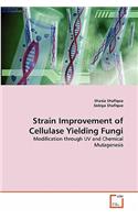 Strain Improvement of Cellulase Yielding Fungi