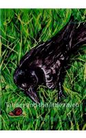 Tanner and the little raven