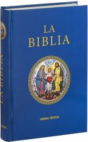 La Biblia (Palabra de Vida): 21 x 15
