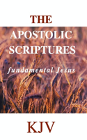 Apostolic Scriptures