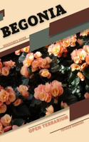 Begonia