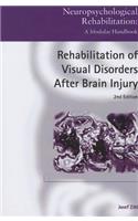 Rehabilitation of Visual Disorders After Brain Injury
