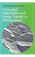 Chlorophyll Organization and Energy Transfer in Photosynthesis