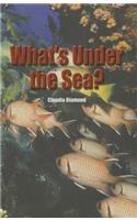 What's Under the Sea?