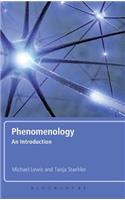 Phenomenology