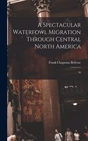 Spectacular Waterfowl Migration Through Central North America