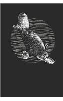 Platypus Drawing: Platypuses Notebook, Graph Paper (6 x 9 - 120 pages) Animal Themed Notebook for Daily Journal, Diary, and Gift