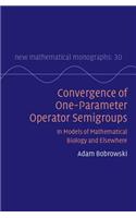 Convergence of One-Parameter Operator Semigroups