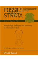 Morphology, Phylogeny and Taxonomy of Osteolepiform Fish