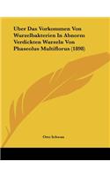 Uber Das Vorkommen Von Wurzelbakterien In Abnorm Verdickten Wurzeln Von Phaseolus Multiflorus (1898)