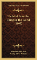 Most Beautiful Thing In The World (1905)