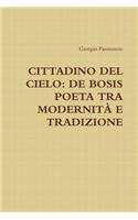 Cittadino Del Cielo: De Bosis Poeta Tra Modernita E Tradizione: de Bosis Poeta Tra Modernità E Tradizione(Italian)