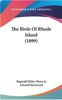 Birds Of Rhode Island (1899)