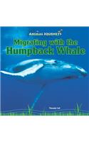 Migrating with the Humpback Whale