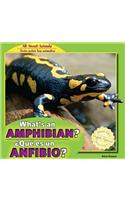 What's an Amphibian? / ¿Qué Es Un Anfibio?