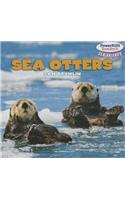 Sea Otters