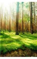 MindBlowing Nature Journal 1: 150 page lined amazing nature journal
