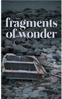 Fragments of Wonder