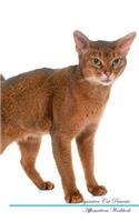 Abyssinian Cat Affirmations Workbook Abyssinian Cat Presents: Positive and Loving Affirmations Workbook. Includes: Mentoring Questions, Guidance, Supporting You.