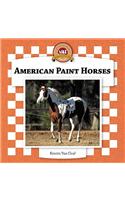 American Paint Horses