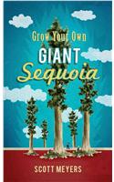 Grow Your Own Giant Sequoia