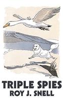 Triple Spies by Roy J. Snell, Fiction, Action & Adventure