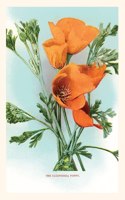 Vintage Journal California Poppies