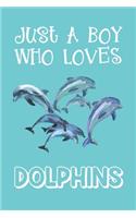 Just A Boy Who Loves Dolphins