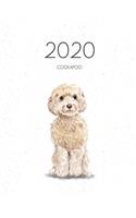 2020 Cockapoo: Dated Weekly Planner With To Do Notes & Dog Quotes - Champagne Cockapoo