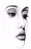Sketch Book