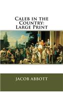 Caleb in the Country: Large Print