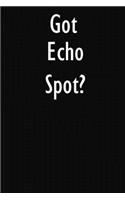 Got Echo Spot?