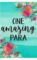 One Amazing Para