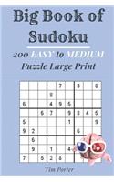 Big Book of Sudoku