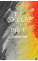 Colours of Birds