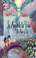 Magia de la Vida_The Magic of Life