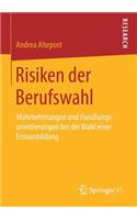 Risiken Der Berufswahl: Wahrnehmungen Und Handlungsorientierungen Bei Der Wahl Einer Erstausbildung