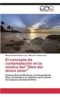 concepto de contemplación en la mística del 