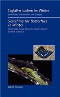 Tagfalter suchen im Winter / Searching for Butterflies in Winter