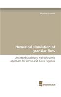 Numerical Simulation of Granular Flow