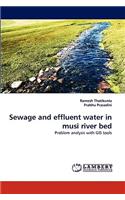 Sewage and Effluent Water in Musi River Bed