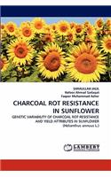 Charcoal Rot Resistance in Sunflower
