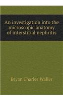An Investigation Into the Microscopic Anatomy of Interstitial Nephritis